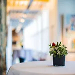 Hotel L'hermitage Gantois, Autograph Collection 5*